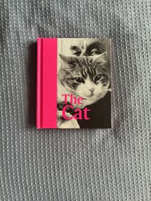 The Cat