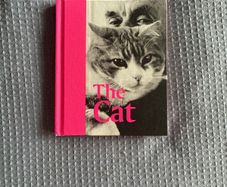 The Cat