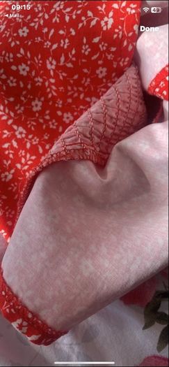 top Bnwt size large red Zara top
