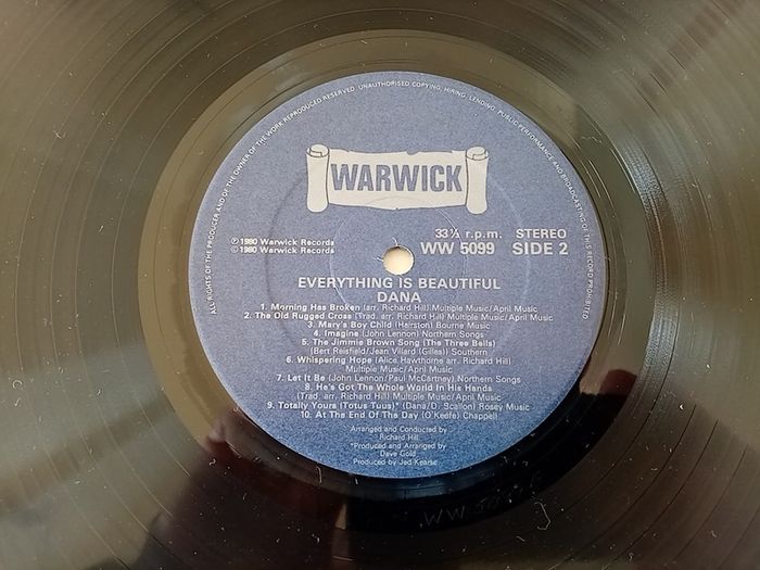 DANA. Everything Is Beautiful. 1980 UK Pressing. Warwick Records. LP. Vinyl. Record. Album.