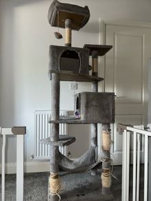 cat tree 191cm