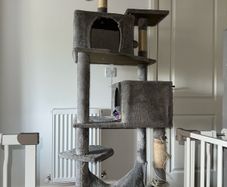 cat tree 191cm