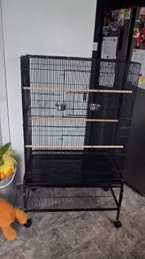 Large bird cage