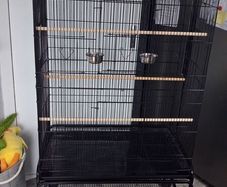 Large bird cage