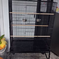 Large bird cage