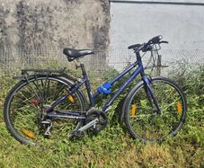 Trek Zlx