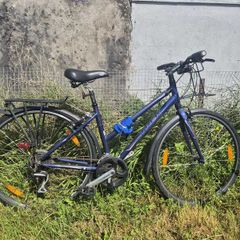 Trek Zlx