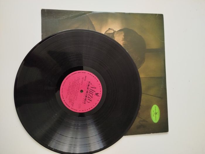 Leszek vinyl
