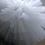 Dance Tutu Image 3