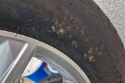 audi alloys