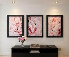 3 pictures with frame 53x72 cm