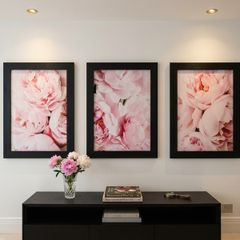 3 pictures with frame 53x72 cm