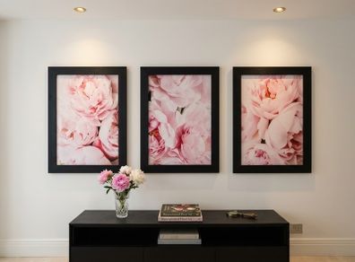 3 pictures with frame 53x72 cm