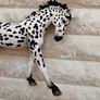 Schleich 13769 Knapstrupper Mare 2014 Used Please see photos Image 8