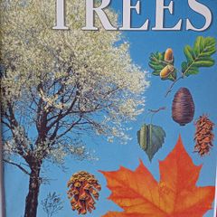Usbourne Spotter Sticker Book