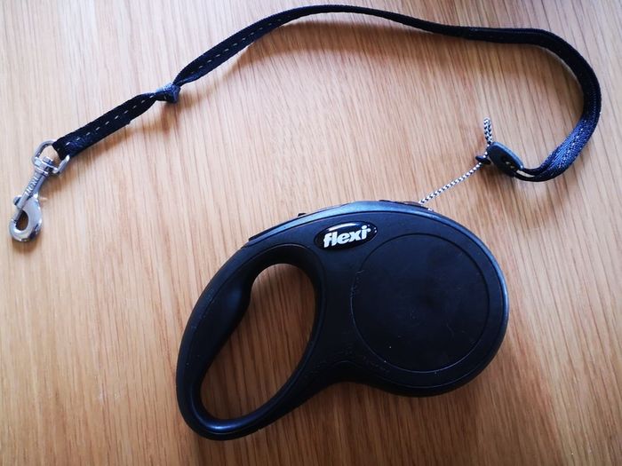 Flexi Extendable Lead