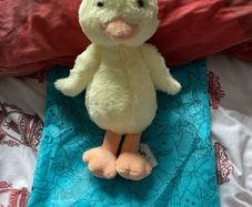 jellycat bashful duck