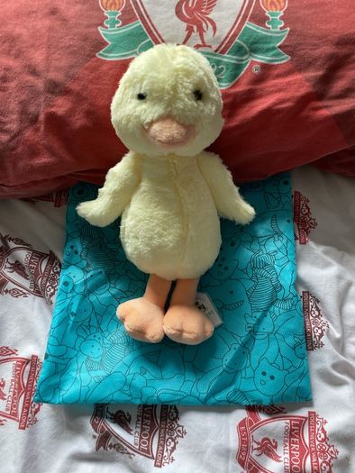 jellycat bashful duck