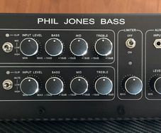 Phil Jones 100W Bass Combo Amp (BG-100)