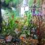 aquarium with fish and full equipment Image 2