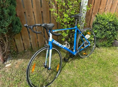 Giant Defy 3 Blue Road Bike for Sale