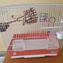 Bird Cage And Accessories Image 2