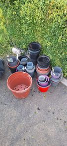 Free garden pots