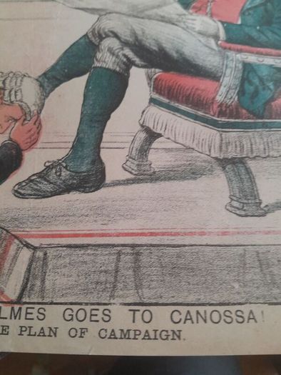 united Ireland 1886