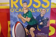 Schmidt Happens Ross O'carroll-kelly Paperback Satire Comedy
