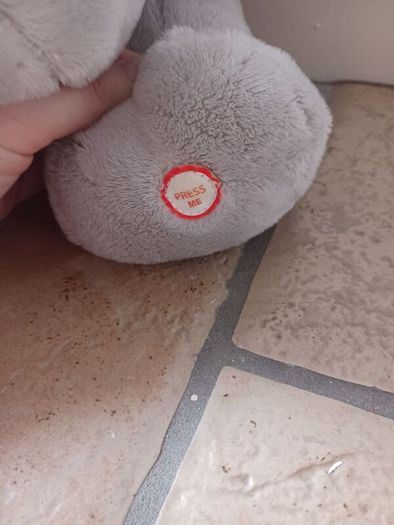 dumbo
