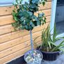 Artificial tree Image 8