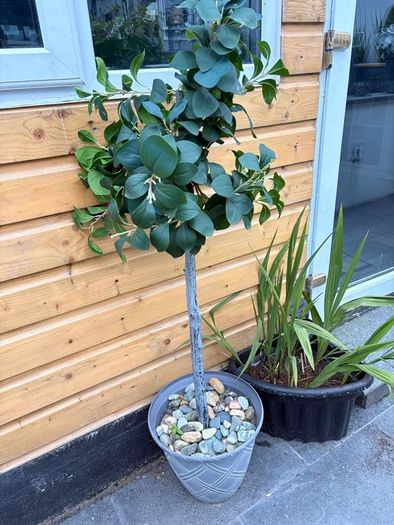 Artificial tree
