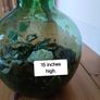 Vintage Viresa Terrarium from 1960s or 1970s.  Green Verdi Glass. Image 4