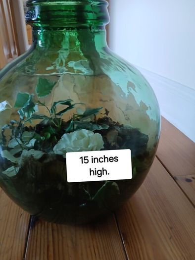 Vintage Viresa Terrarium from 1960s or 1970s.  Green Verdi Glass.