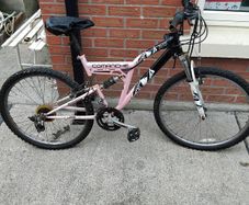ladys bike
