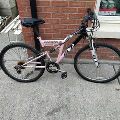 ladys bike