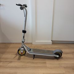 scoter