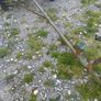 boat trailer Image 3