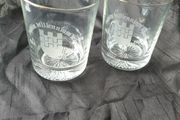 Dublin Millennium Glasses
