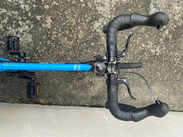 Kids 9spd Team Sky Edition Frog Racing Bike