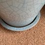 Plant pot Image 5