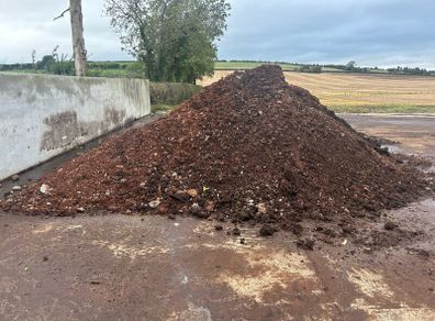 Compost