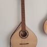 Octave Mandolin Image 2