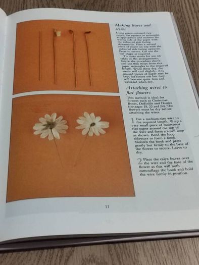 Rice Paper Flowers  1989