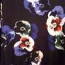 'Phase Eight' brand top Image 3