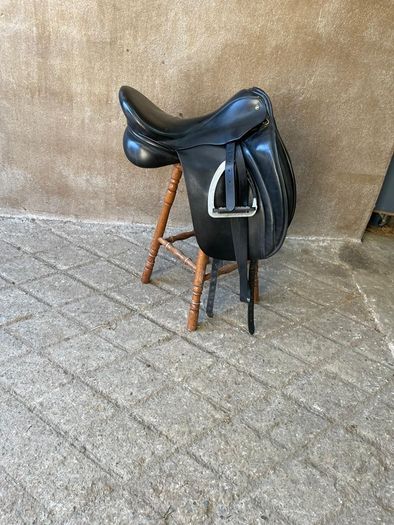 Dressage