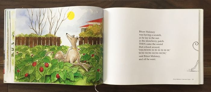 Teddies / Soft Toys / Books etc - New Zealand