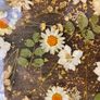 Charcuterie Board and Cheeseboard - Botanical Ray Image 3