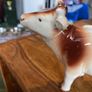 Cow creamer jug Image 2