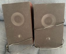 Pair of 5W wooden speakers